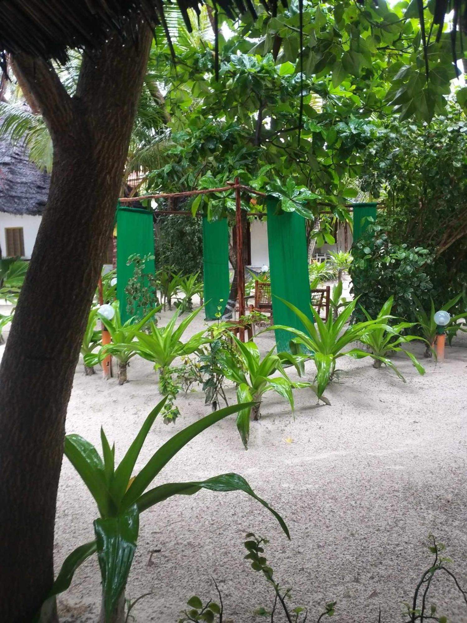 Mintaka Boutique Hotel Bwejuu Exterior photo